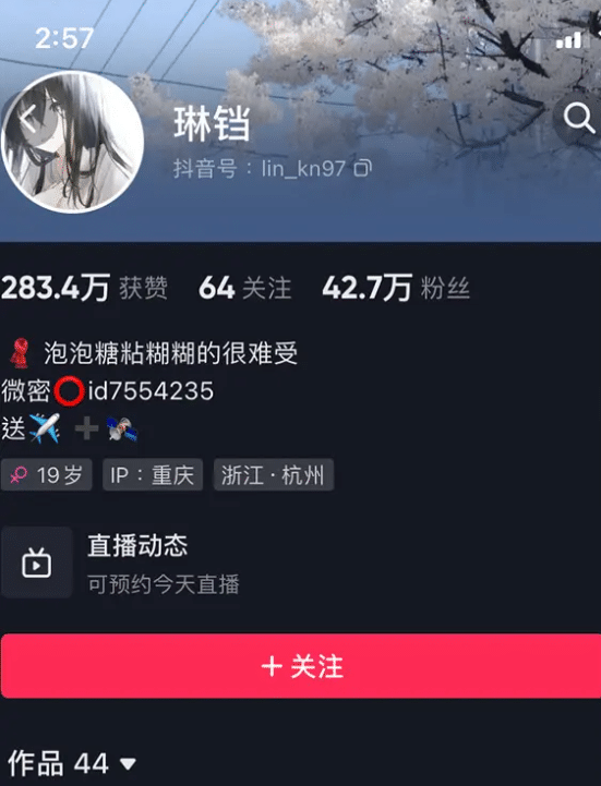 琳铛 微密圈 写真图片视频 网盘资源合集 琳铛 微密圈 写真图片视频 网盘资源合集