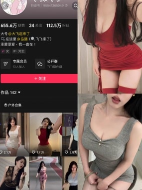 抖音 飞飞以飞飞 岛遇全套作品资源合集