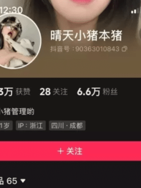 抖音晴天小猪本猪微mi圈图片&视频 作品合集